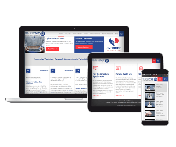 Nonprofit healthcare website design - UMassTox