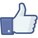 Facebook Like