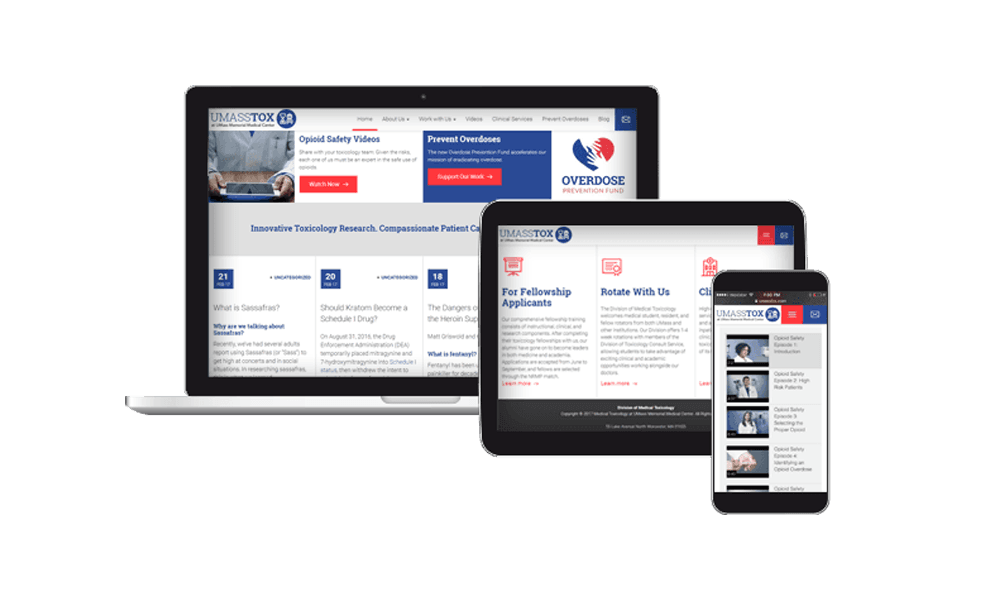 Custom healthcare website design - UMASS TOX